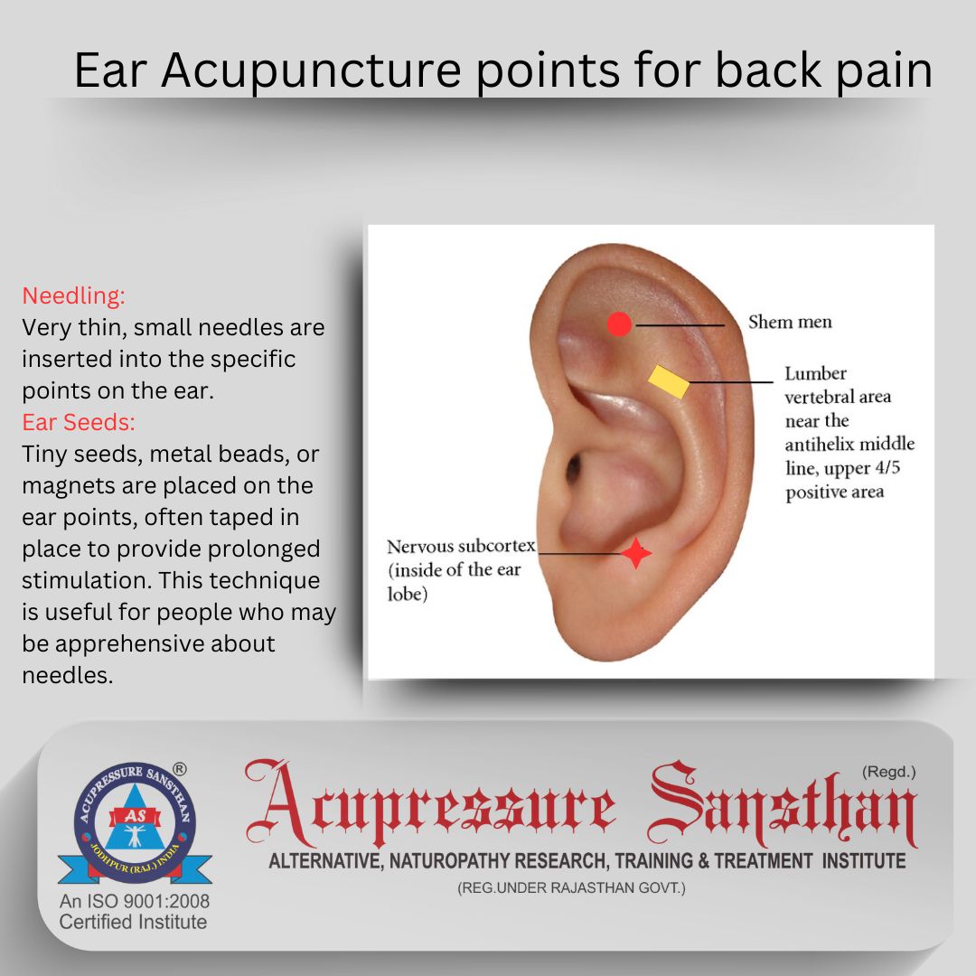 Ear Acupuncture points for back pain