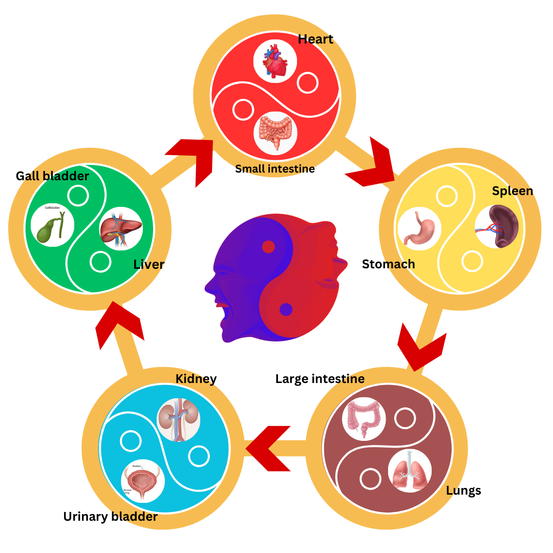 Five element theory