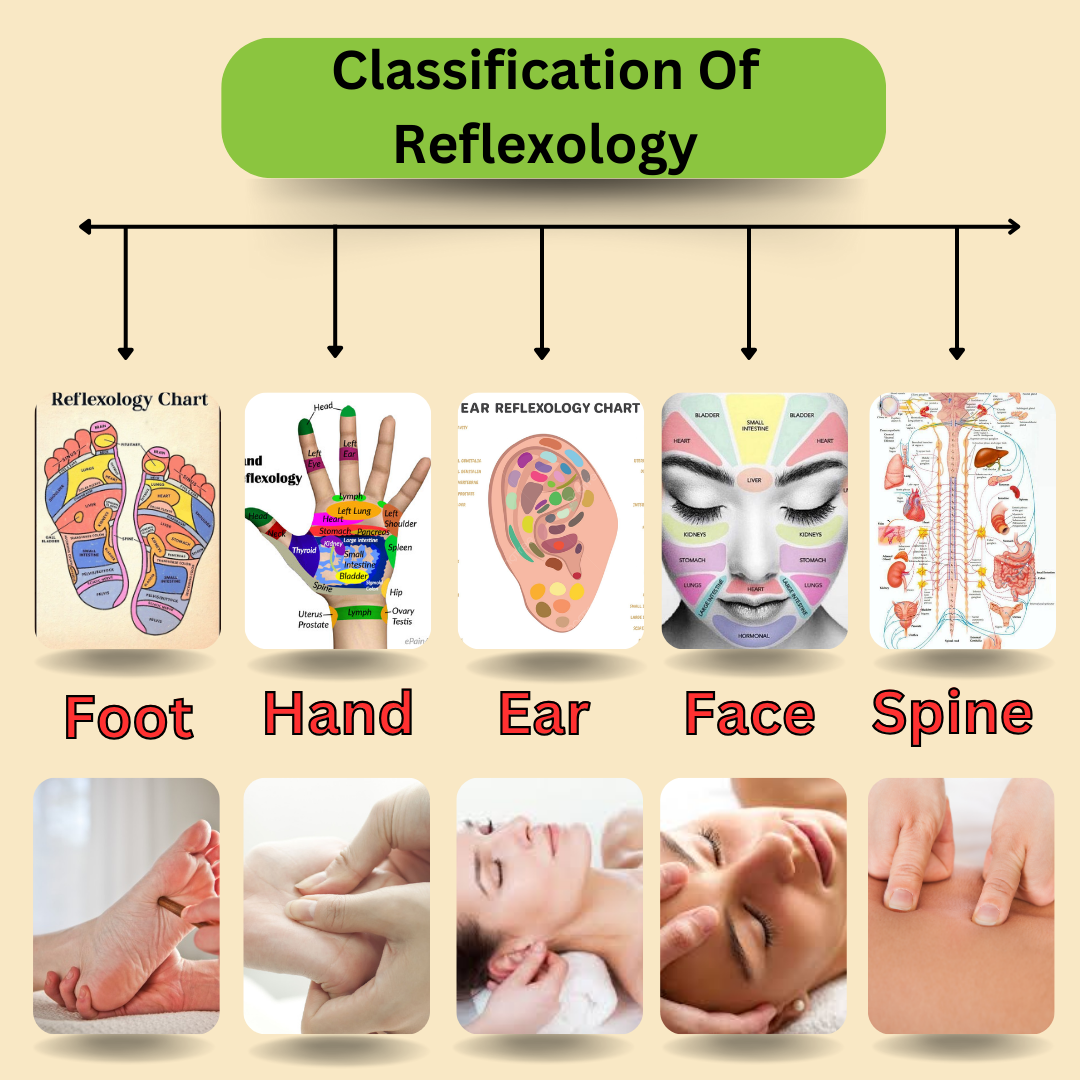 Classification of Reflexology